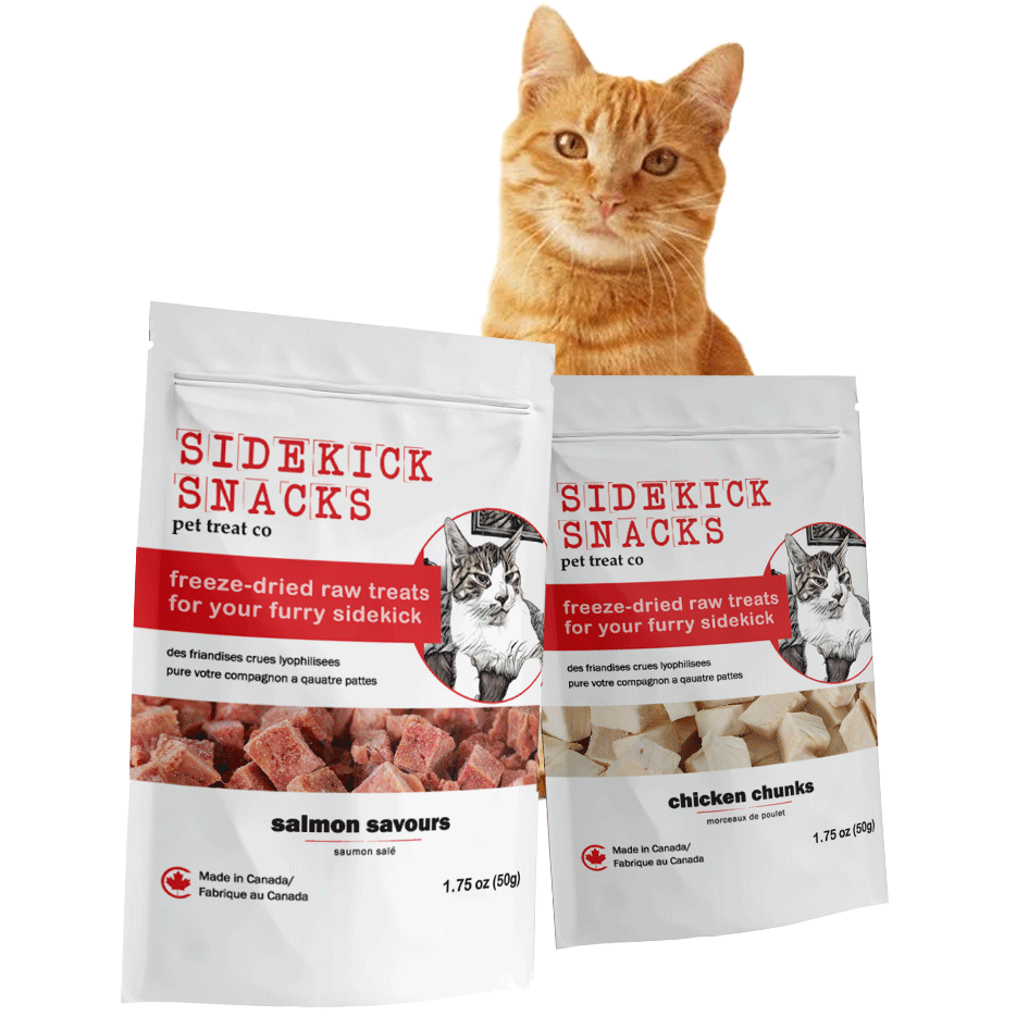 For your Cat Sidekick Sidekick Snacks